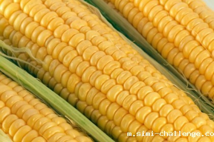 强势反弹!玉米能否延续涨势?