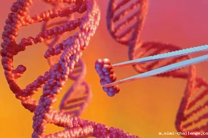 微信图片_2025-09-09_162750_408